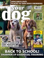 Your Dog